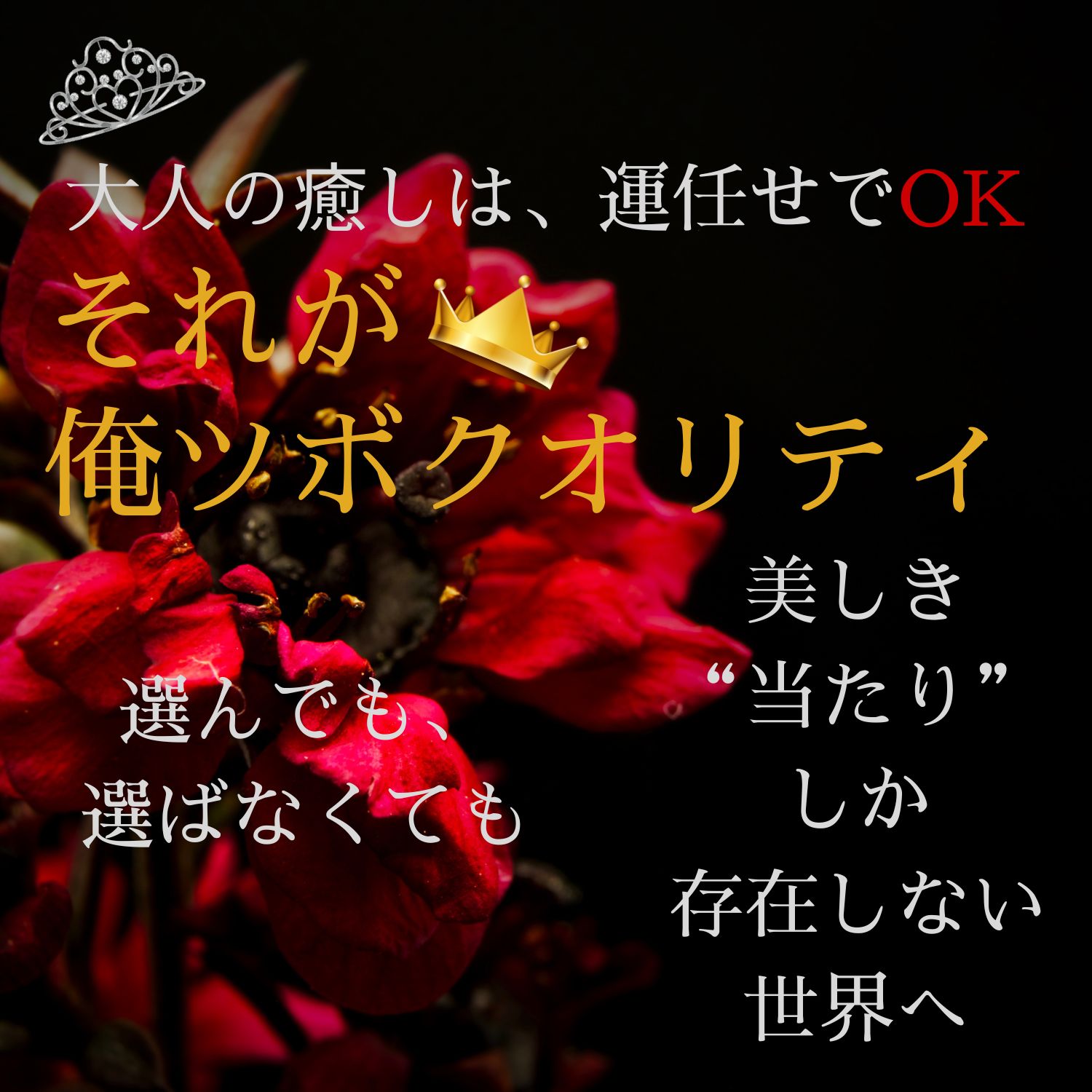 俺のツボ～癒しの女神たち