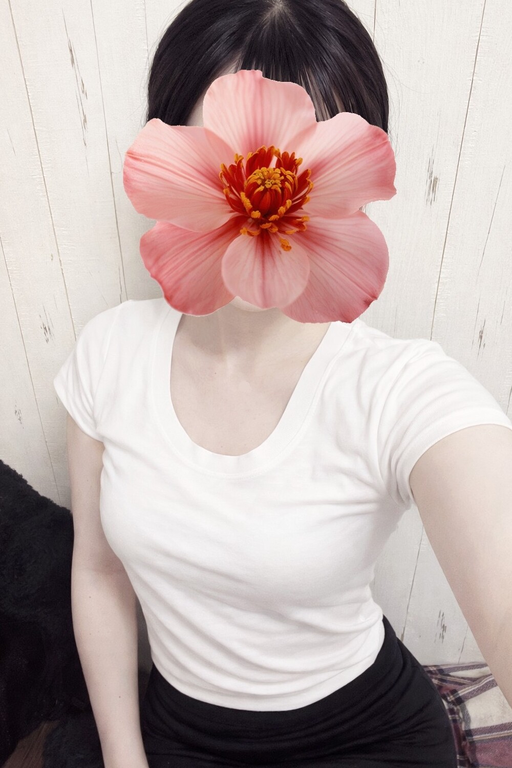 スイートワゴン