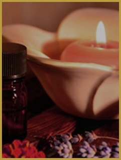 Paradis-パラディ-