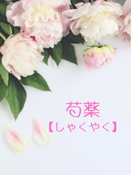 芍薬【しゃくやく】