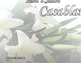 Casablanca~カサブランカ