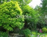 Chez Moi~シェモア