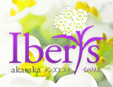 イベリス