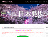 SAKURA〜サクラ〜パウダーマッサージ専門店