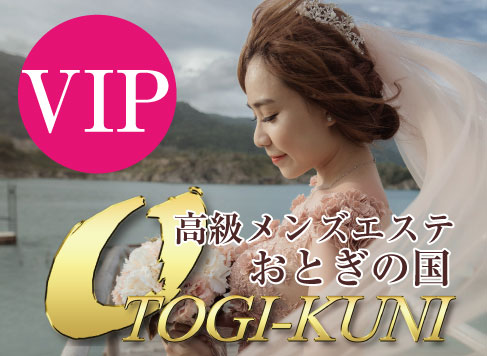 高級メンズエステおとぎの国