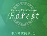 Forest-フォレスト- Asian Relaxation