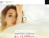 EXーエグゼクティブー