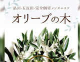 品川・五反田・完全個室メンズエステ オリーブの木