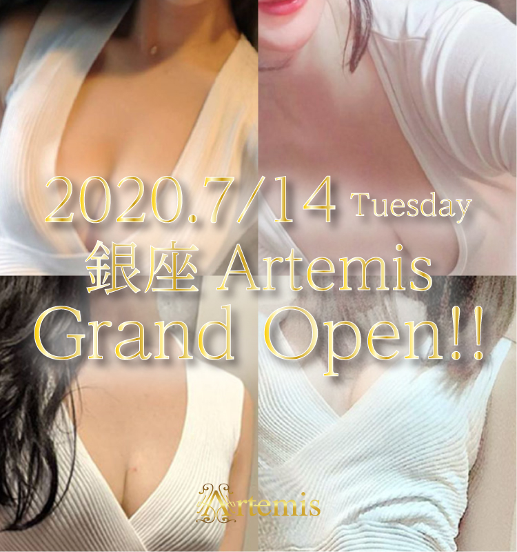Artemis〜アルテミス