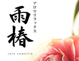 雨椿