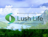 Lush Life～ラッシュライフ