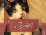 Figaro～フィガロ