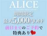 ALICE~アリス