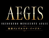 AEGIS〜イージス