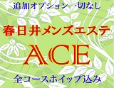 ACE～エース