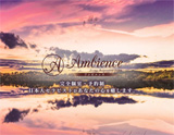 Ambience アンビエンス