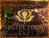 secret room Lv2~シークレットルームレベル2~