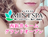 MINT SPA～ミントスパ 西新井ルーム