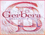 Gerbera-ガーベラ