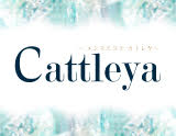Cattleya～カトレヤ～