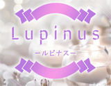 Lupinus~ルピナス~