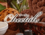 cheetah金山~チーター