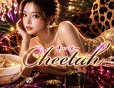 cheetah～チーター