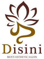 Disini～ディシニ