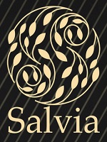 Salvia-サルビア-名駅