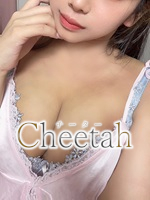 cheetah～チーター