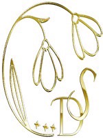 snow drop spa 市原五井店