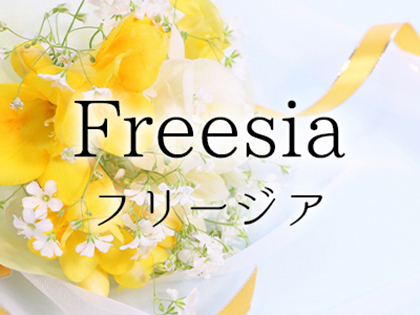 Freesia～フリージア～