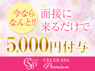 CELEB SPA PREMIUM～セレブ スパ プレミアム