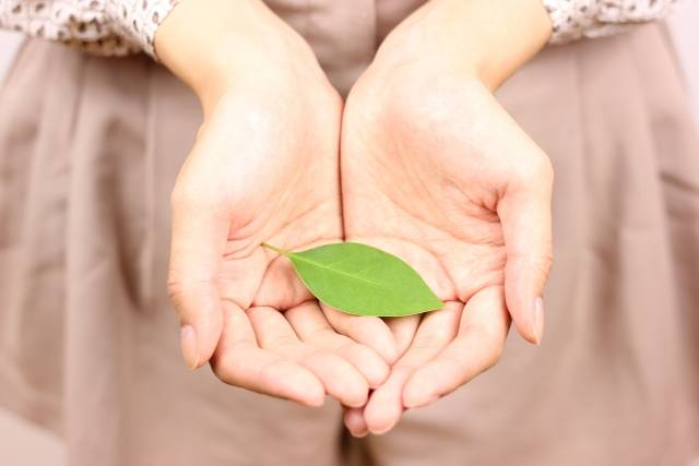 velvet〜ベルベット