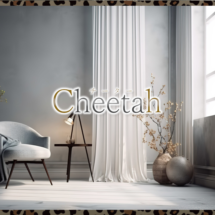 cheetah～チーター|ゆきな