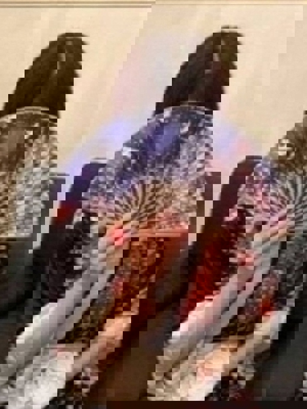MadamRelife一宮店～マダムリライフ|桃川