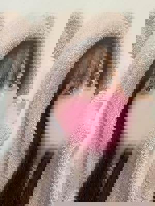 AromaModeste〜アロマモデスト〜巣鴨ルーム
