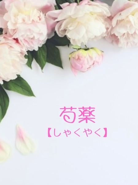 芍薬【しゃくやく】