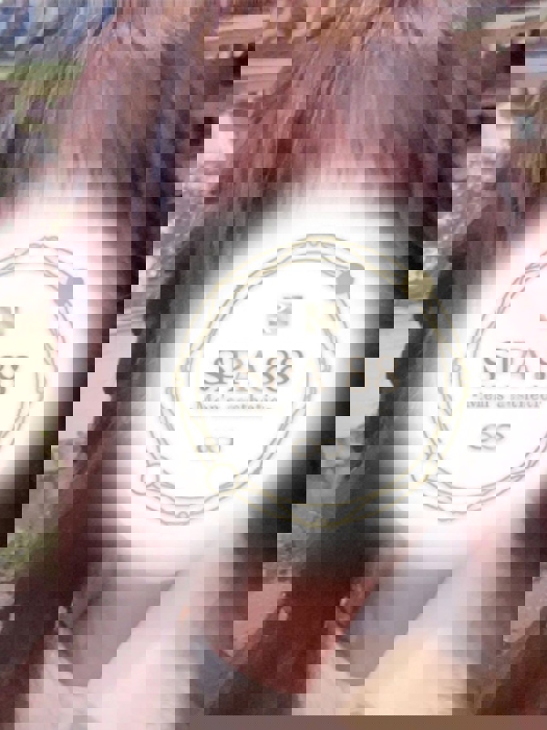 SPA88高岳ルーム
