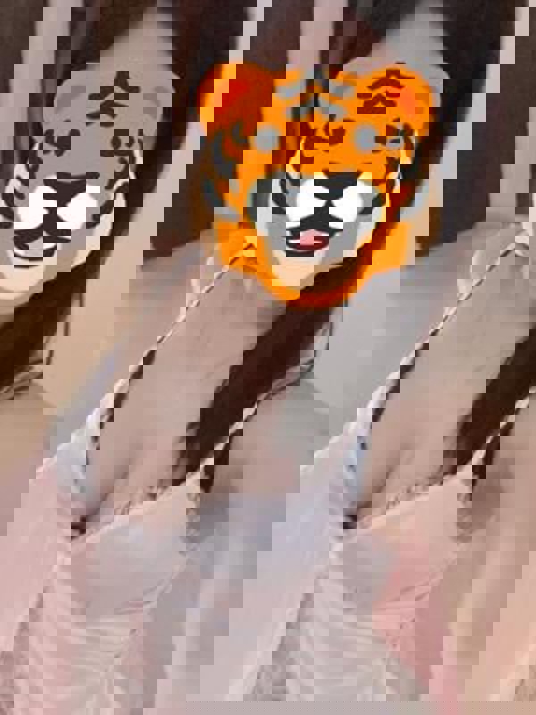 cheetah～チーター