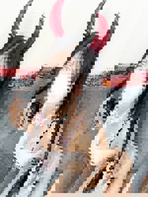 BJコレクション