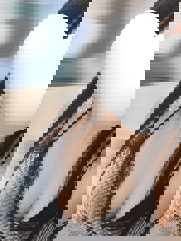 秘書の薫り|峯岸　るか