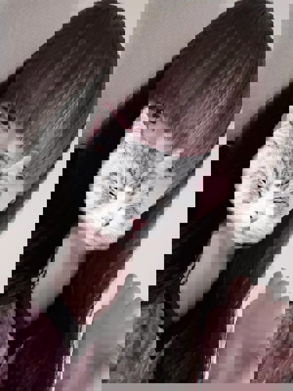 Jelly～ジェリー伏見ルーム|みおか