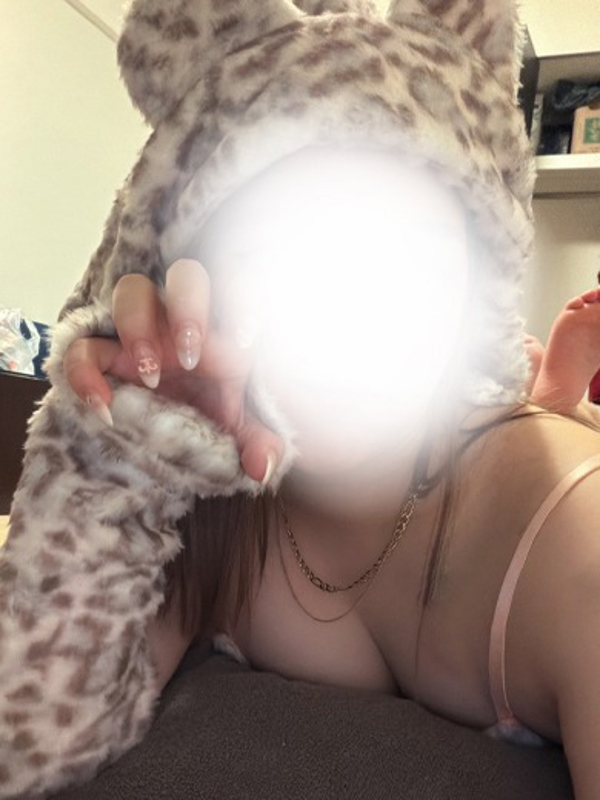 KNIT(ニット)|はる