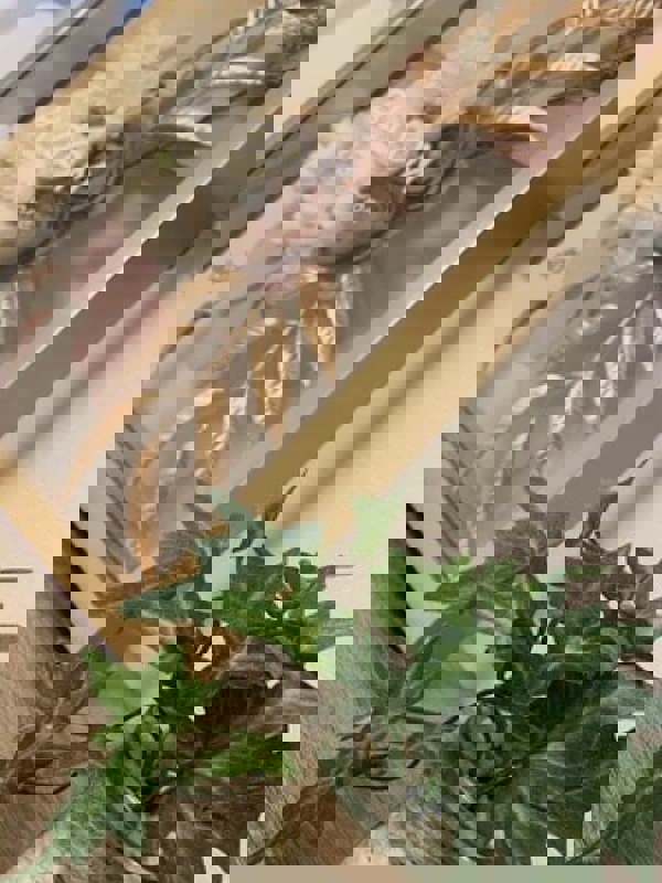 agrement(アグレモン)MK|神楽坂 B Room