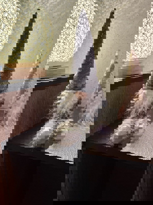 東京 a laise(アレイズ)SK 荻窪ルーム|荻窪FCROOM