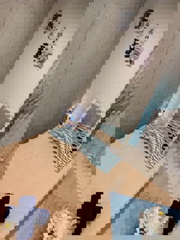 東京 a laise(アレイズ)SK 荻窪ルーム|中野ROOM