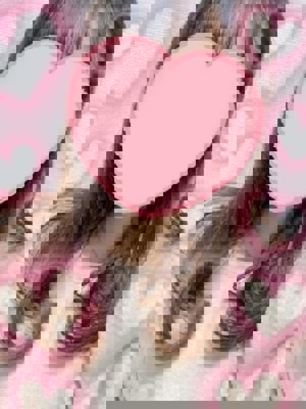 Men’s esthe Love Potion（らぶぽーしょん）|すい