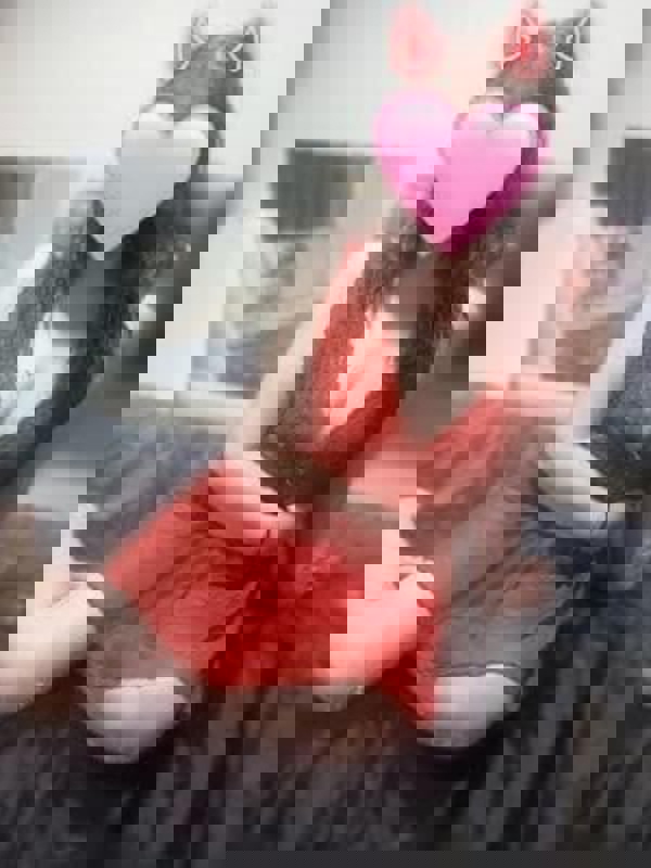 ミセスロマン|あずき