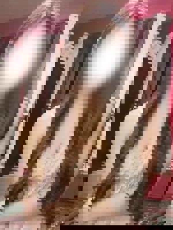 ミセスロマン|らん